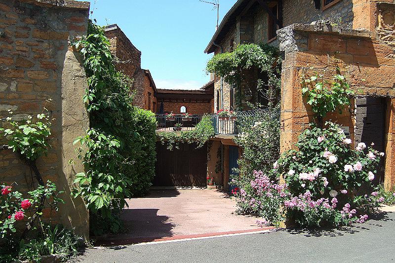2010-06- (116).JPG